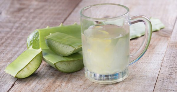 Aloe Vera Barbadensis Miller, la pianta che la natura ha perfezionato da millenni